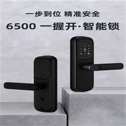 6500-一握开智能锁